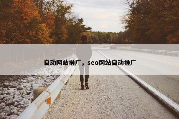 自动网站推广，seo网站自动推广