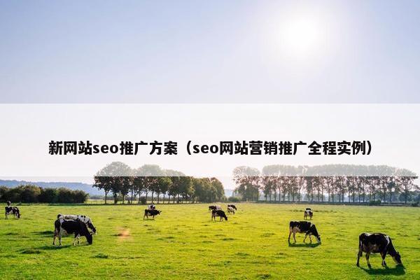 新网站seo推广方案(seo网站营销推广全程实例) 新网站seo推广方案(seo网站营销推广全程实例)