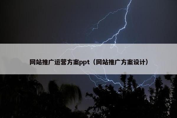 网站推广运营方案ppt(网站推广方案设计) 网站推广运营方案ppt(网站推广方案设计)