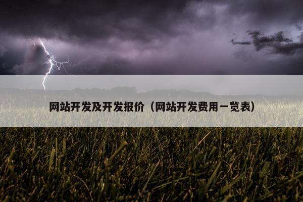 网站开发及开发报价（网站开发费用一览表）