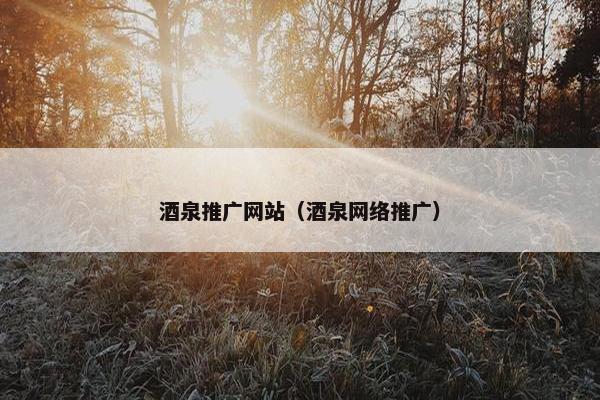 酒泉推广网站（酒泉网络推广）