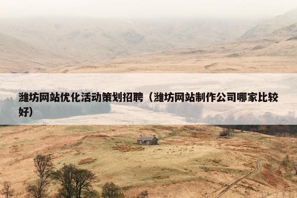 潍坊网站优化活动策划招聘（潍坊网站制作公司哪家比较好）