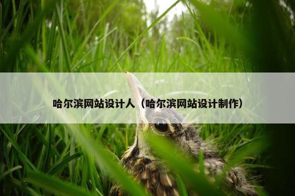 哈尔滨网站设计人（哈尔滨网站设计制作）