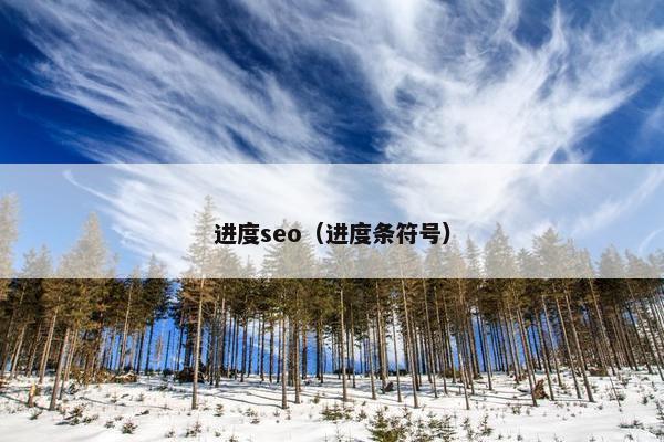 进度seo（进度条符号）