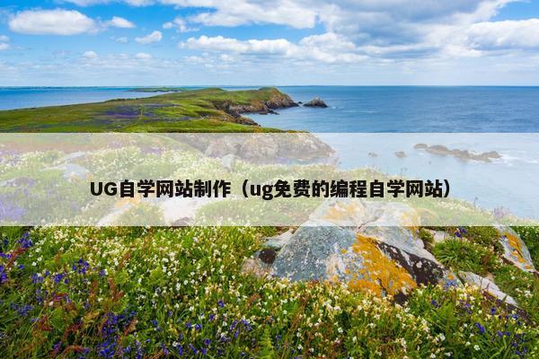 UG自学网站制作（ug免费的编程自学网站）