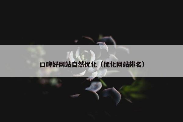 口碑好网站自然优化（优化网站排名）
