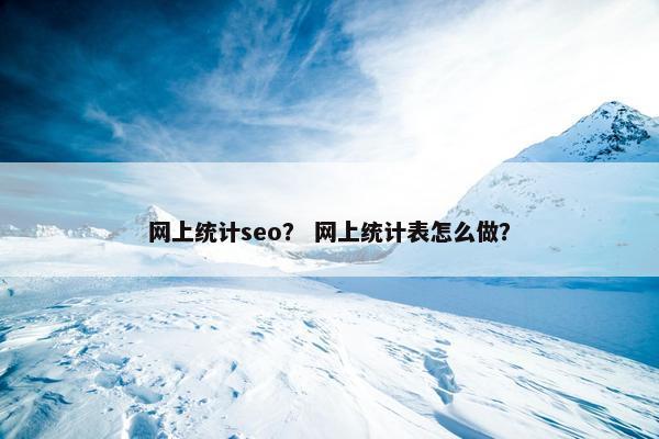 网上统计seo？ 网上统计表怎么做？