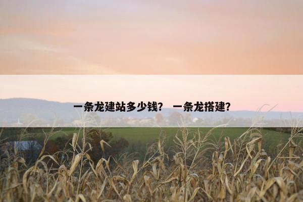 一条龙建站多少钱？ 一条龙搭建？