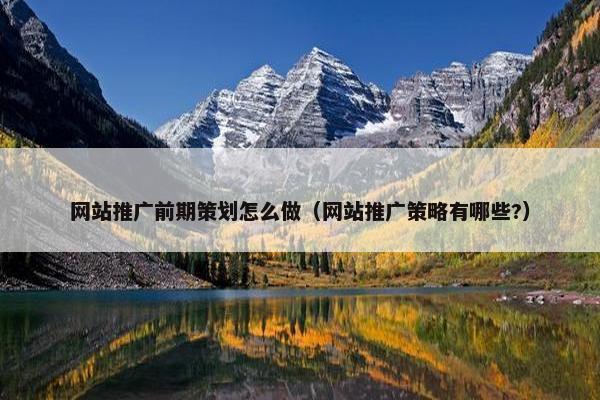 网站推广前期策划怎么做（网站推广策略有哪些?）