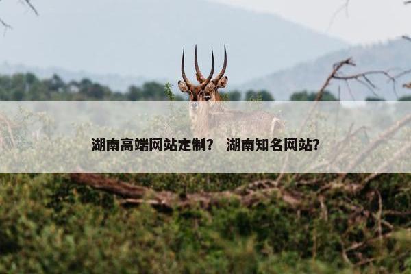 湖南高端网站定制？ 湖南知名网站？