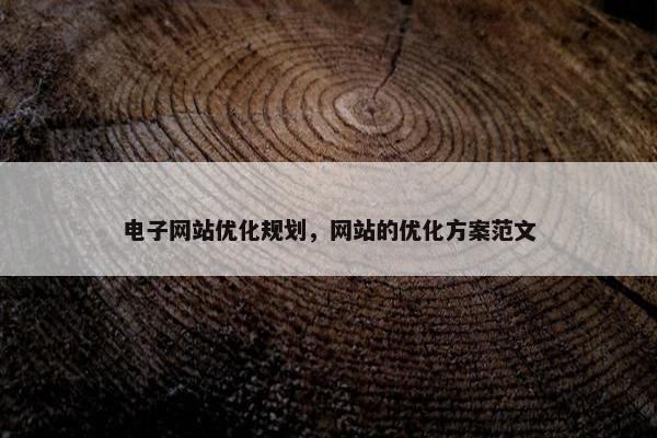 电子网站优化规划，网站的优化方案范文