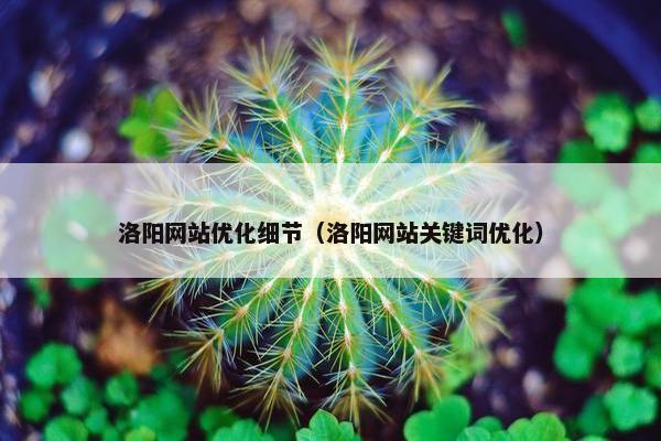 洛阳网站优化细节（洛阳网站关键词优化）