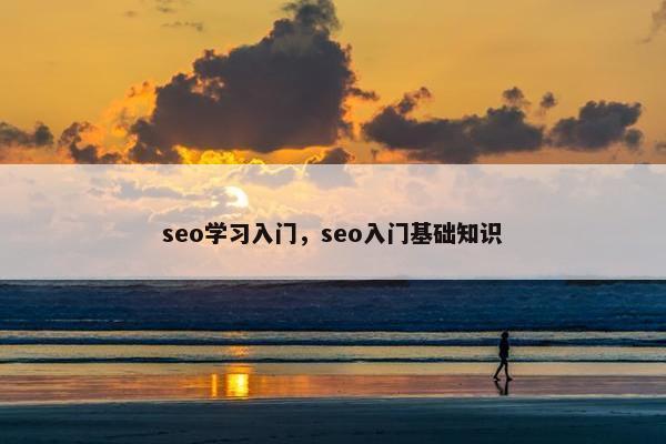 seo学习入门，seo入门基础知识