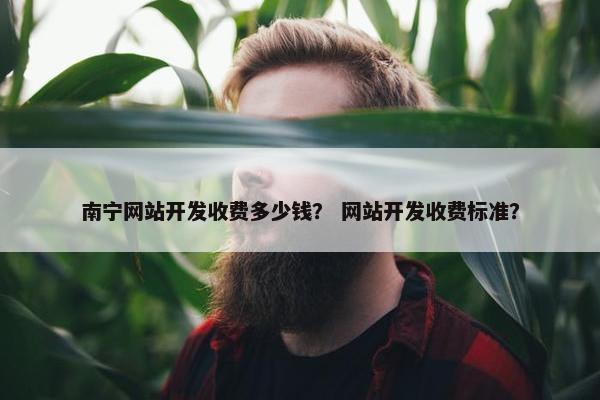 南宁网站开发收费多少钱? 网站开发收费标准? 南宁网站开发收费多少钱? 网站开发收费标准?