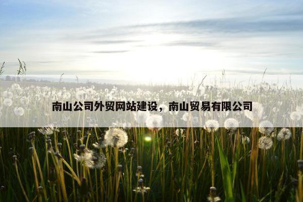 南山公司外贸网站建设，南山贸易有限公司