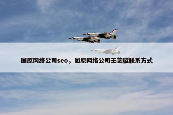 固原网络公司seo，固原网络公司王艺璇联系方式