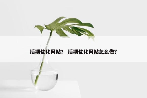 后期优化网站? 后期优化网站怎么做? 后期优化网站? 后期优化网站怎么做?