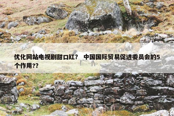 优化网站电视剧甜口红？ 中国国际贸易促进委员会的5个作用?？