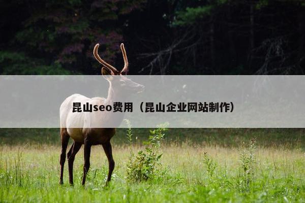 昆山seo费用（昆山企业网站制作）