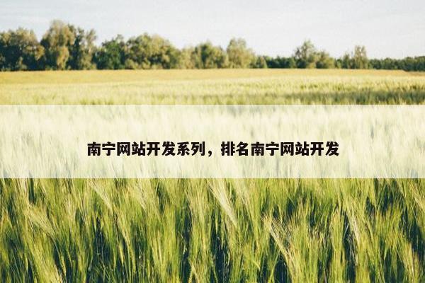 南宁网站开发系列，排名南宁网站开发