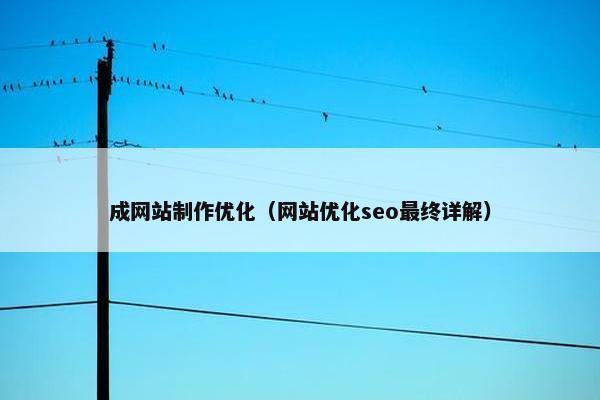 成网站制作优化（网站优化seo最终详解）