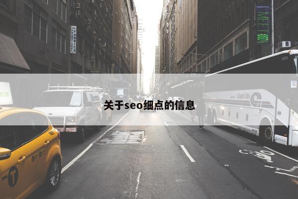 关于seo细点的信息