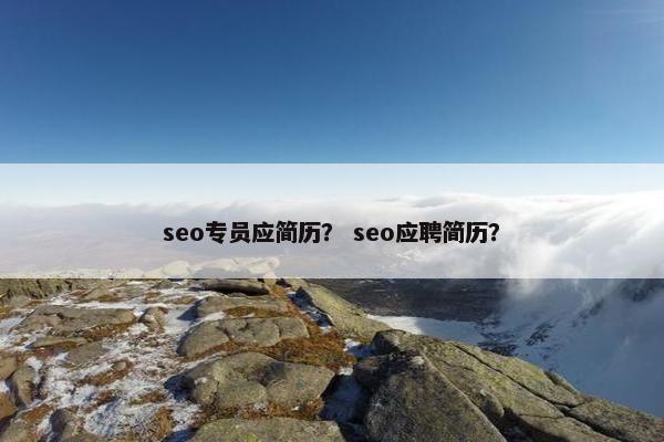 seo专员应简历？ seo应聘简历？
