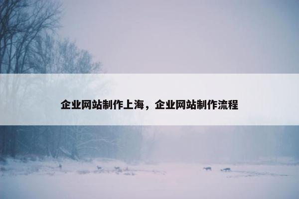 企业网站制作上海，企业网站制作流程