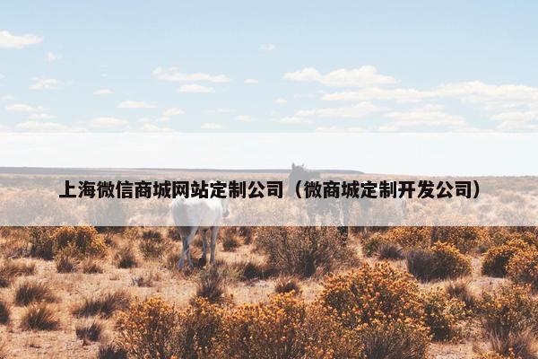 上海微信商城网站定制公司（微商城定制开发公司）