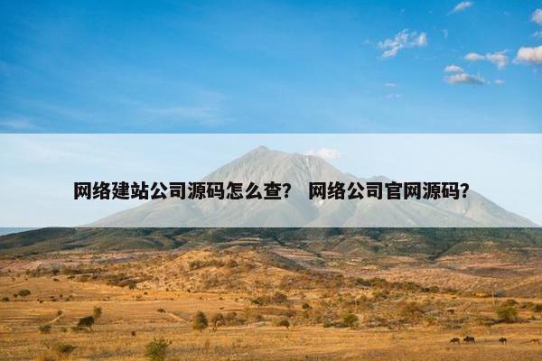 网络建站公司源码怎么查？ 网络公司官网源码？