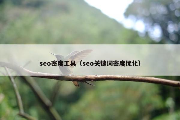 seo密度工具（seo关键词密度优化）