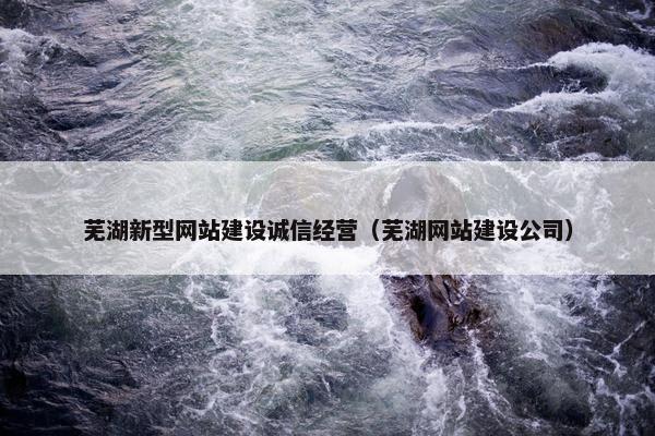 芜湖新型网站建设诚信经营（芜湖网站建设公司）