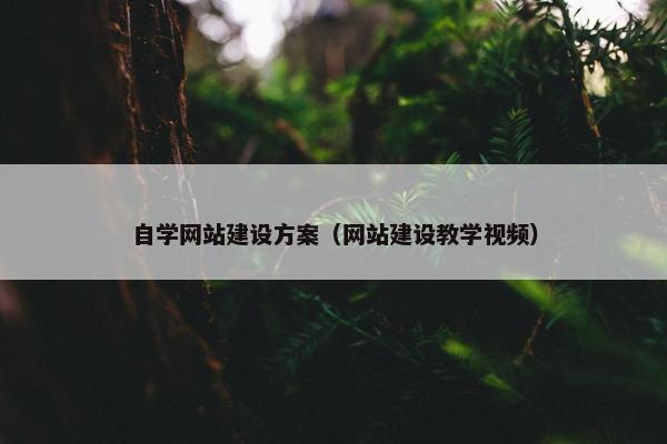 自学网站建设方案（网站建设教学视频）
