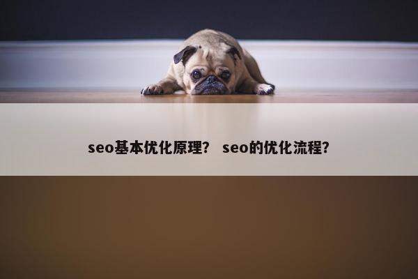 seo基本优化原理? seo的优化流程? seo基本优化原理? seo的优化流程?