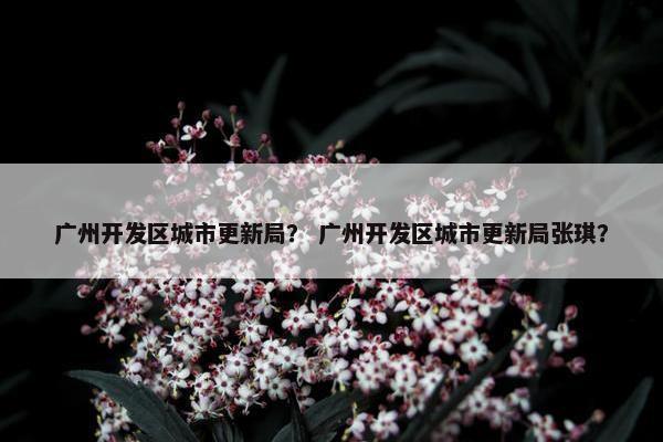 广州开发区城市更新局？ 广州开发区城市更新局张琪？