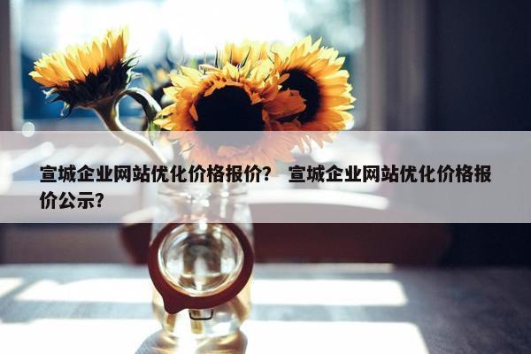 宣城企业网站优化价格报价？ 宣城企业网站优化价格报价公示？