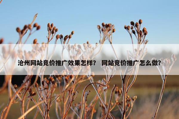 沧州网站竞价推广效果怎样？ 网站竞价推广怎么做？