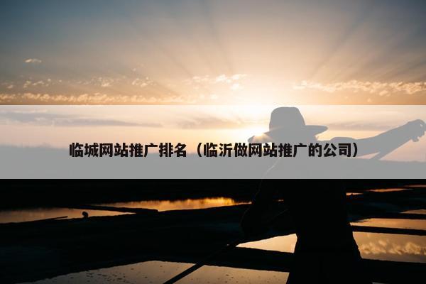 临城网站推广排名（临沂做网站推广的公司）