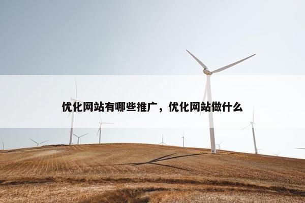 优化网站有哪些推广，优化网站做什么