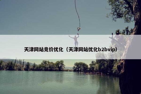 天津网站竞价优化（天津网站优化b2bvip）