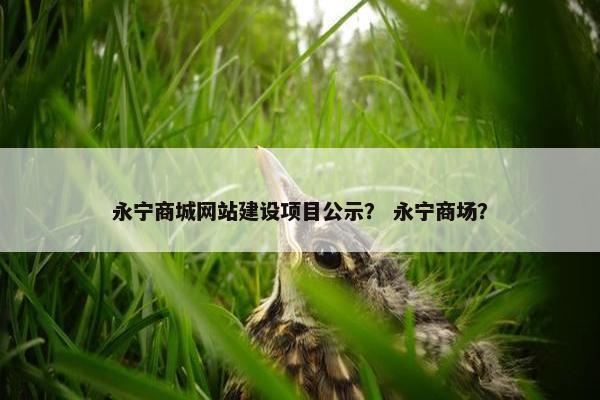 永宁商城网站建设项目公示？ 永宁商场？