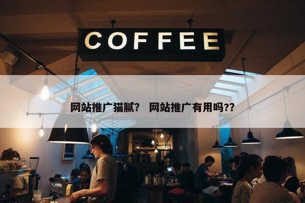 网站推广猫腻？ 网站推广有用吗?？