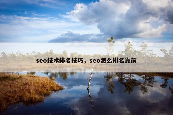 seo技术排名技巧，seo怎么排名靠前