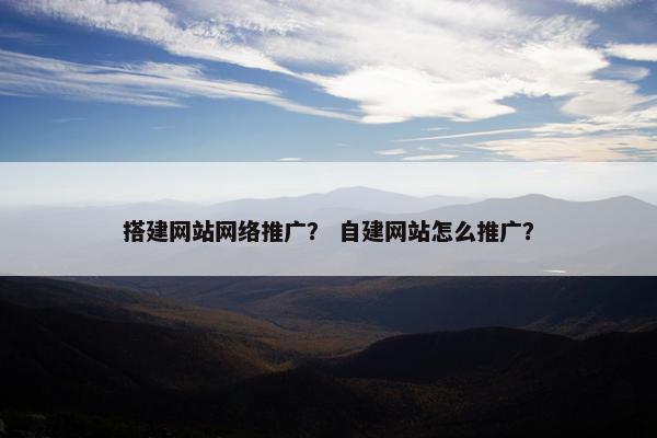 搭建网站网络推广？ 自建网站怎么推广？