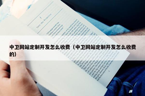 中卫网站定制开发怎么收费（中卫网站定制开发怎么收费的）