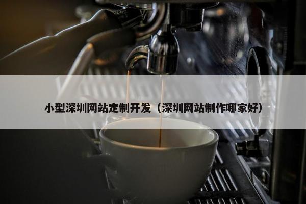 小型深圳网站定制开发（深圳网站制作哪家好）