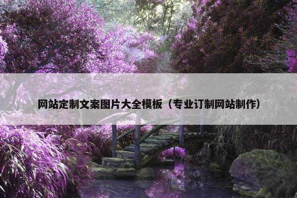 网站定制文案图片大全模板（专业订制网站制作）