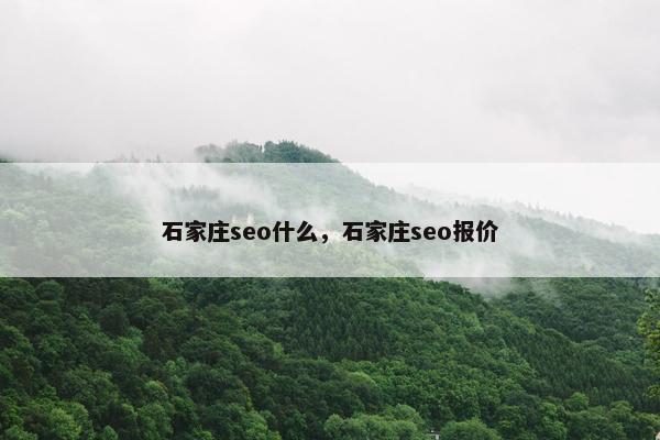 石家庄seo什么，石家庄seo报价