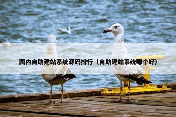 国内自助建站系统源码排行（自助建站系统哪个好）