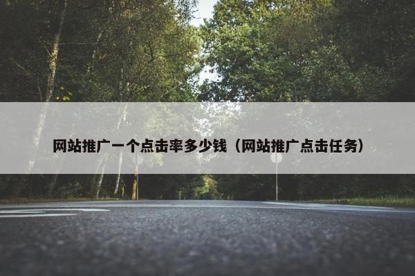 网站推广一个点击率多少钱（网站推广点击任务）